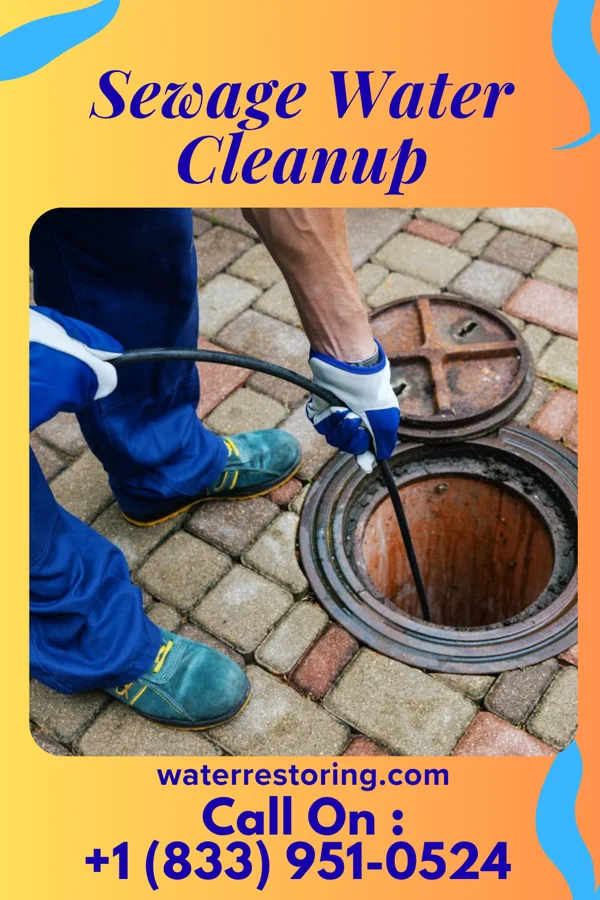 Sewage Water Cleanup in Arbela, MO